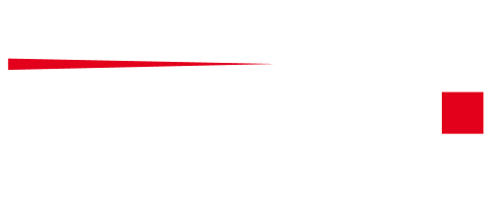 nivelco_logo nivelco_logo